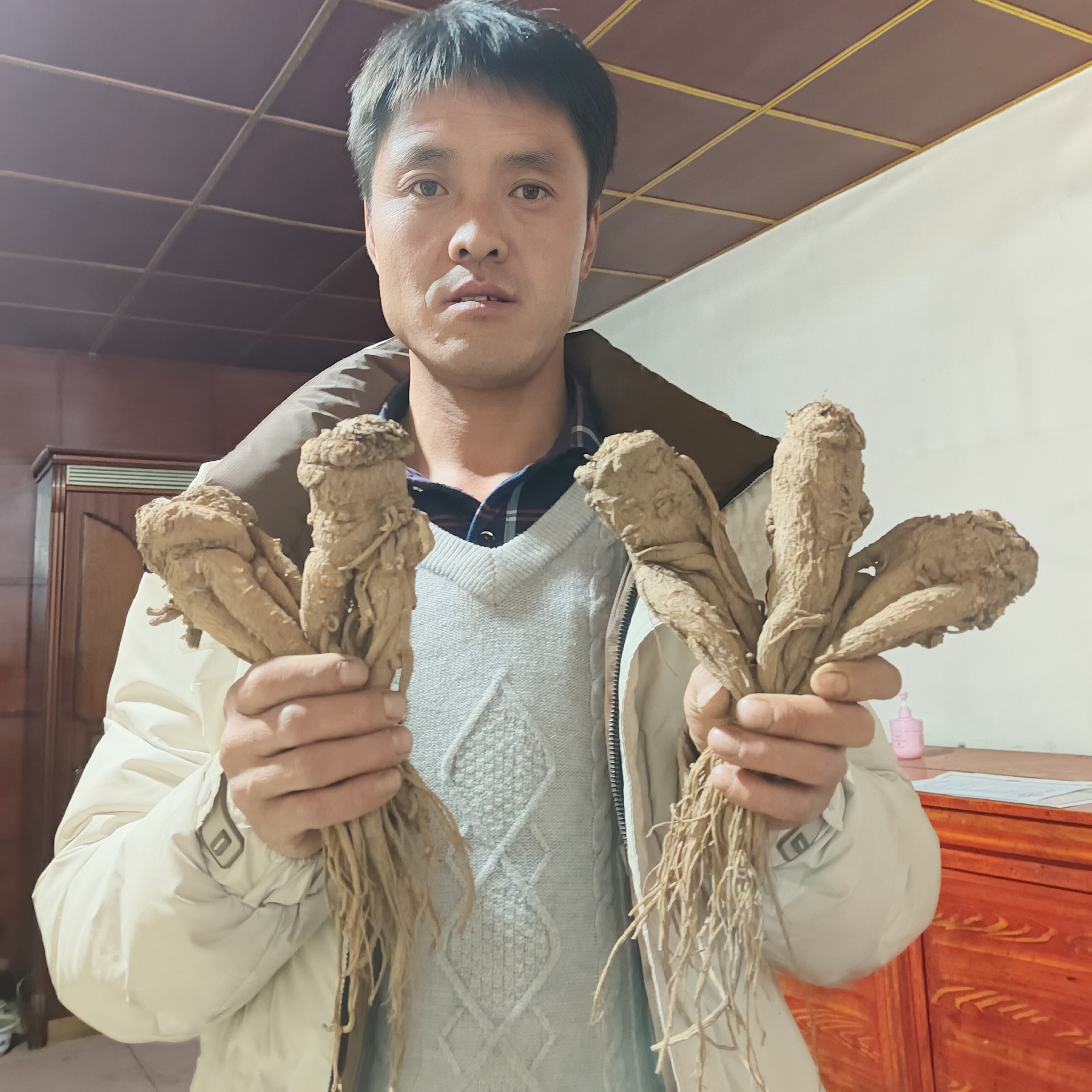 甘肃岷县中条整根当归可煲汤滋补养生中药材