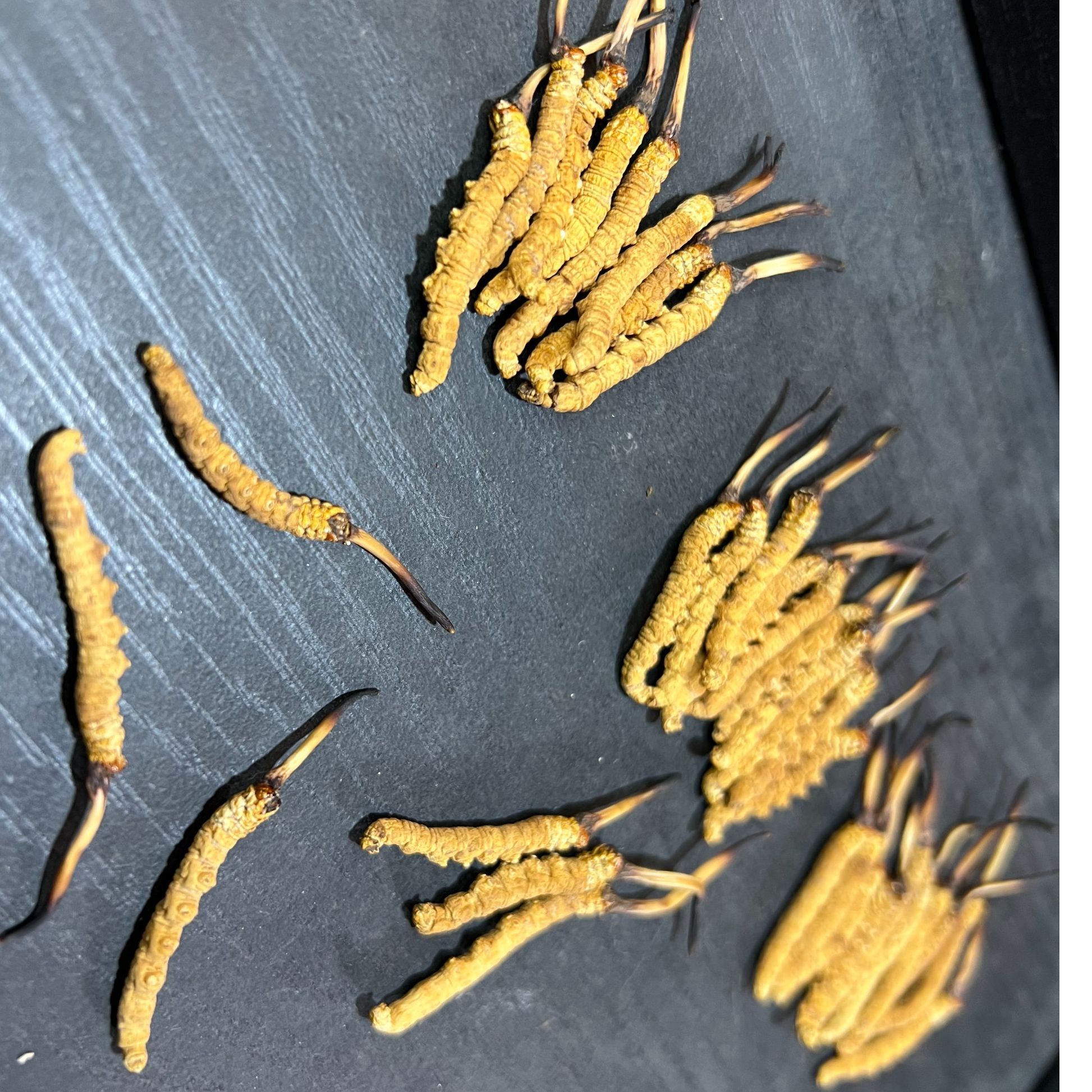 2025年 青海玉树杂多头茬新干草 小草5根一克