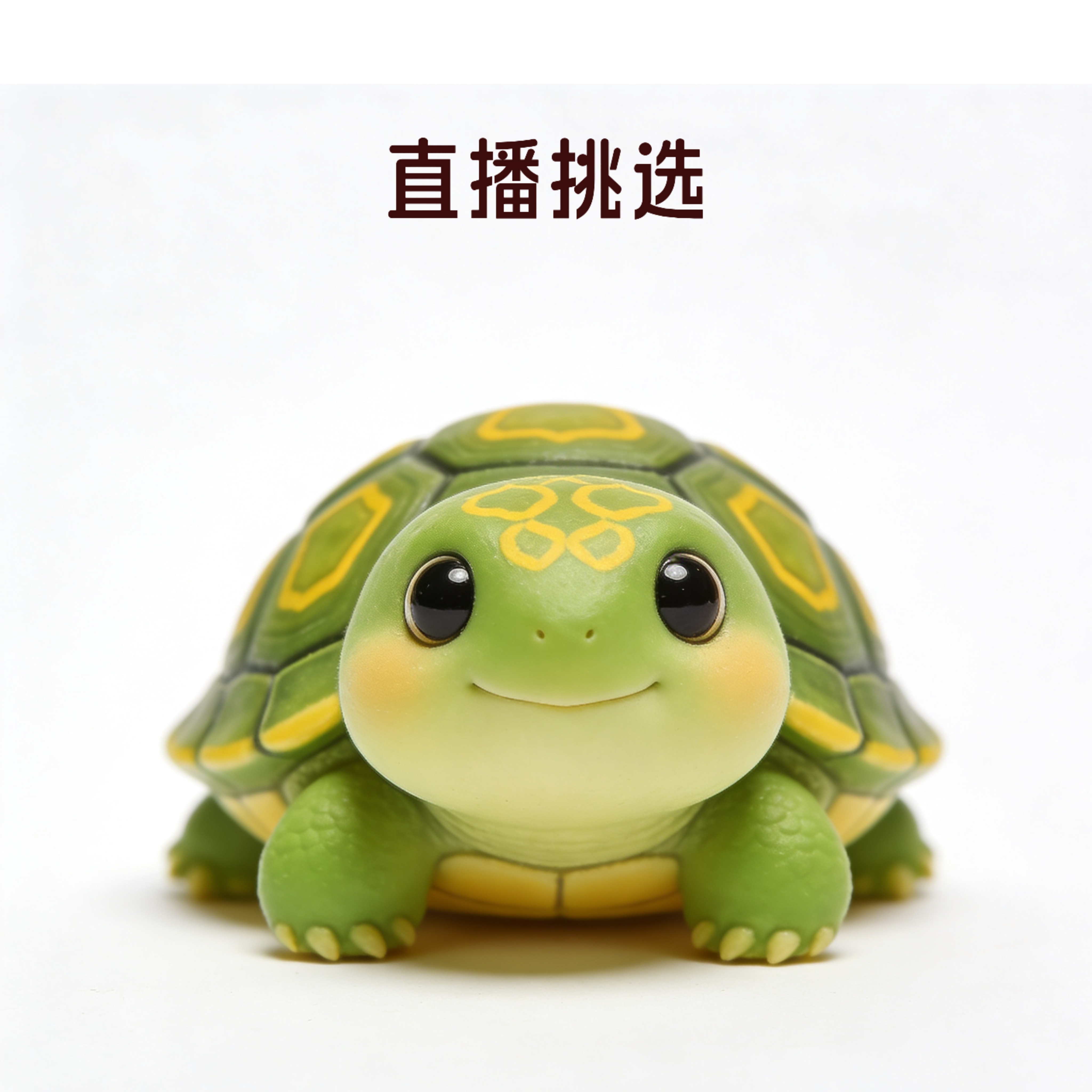 超萌好物水龟宠物龟