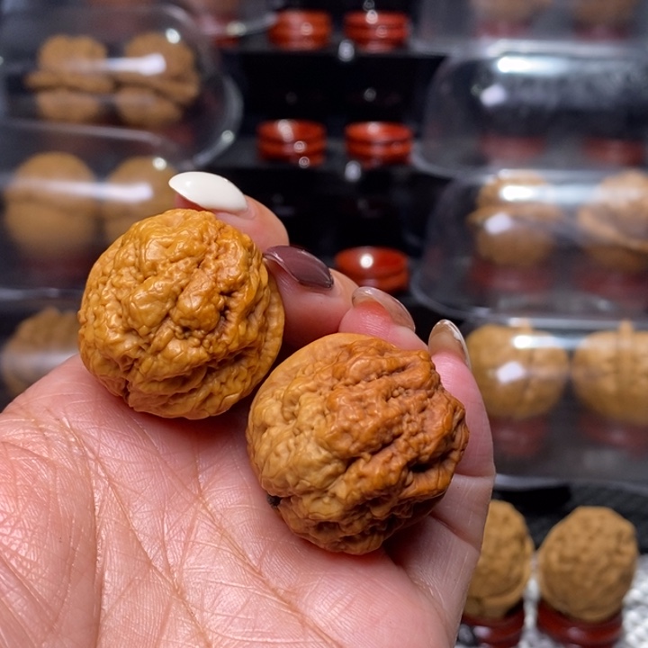 文玩核桃把件S****d血舍利…………99