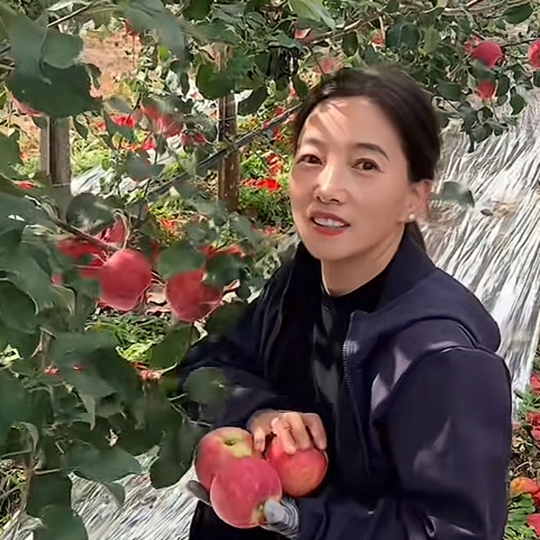 正宗洛川红富士冰糖心苹果新鲜脆甜多汁应季现摘产地直发果农自产