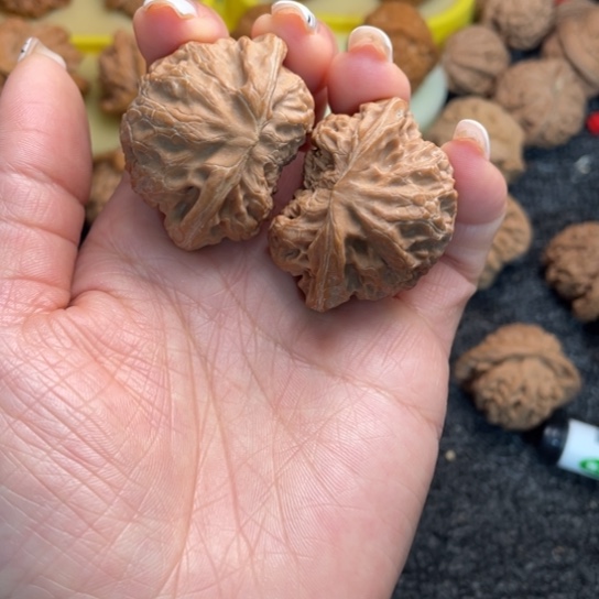 文玩核桃吊坠10宫灯蛇