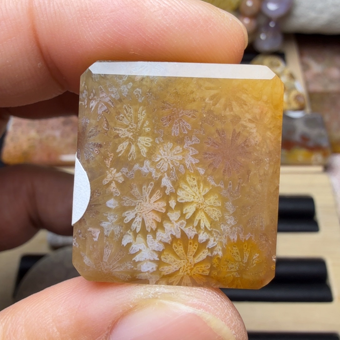 硅化玉未镶嵌纯天然色有机玉石保真色