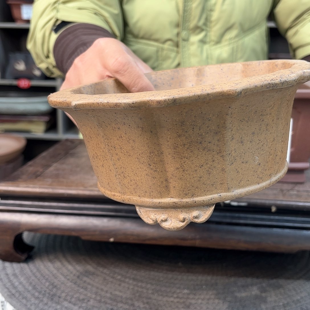 紫砂花盆追**羁紫砂的花开了没有