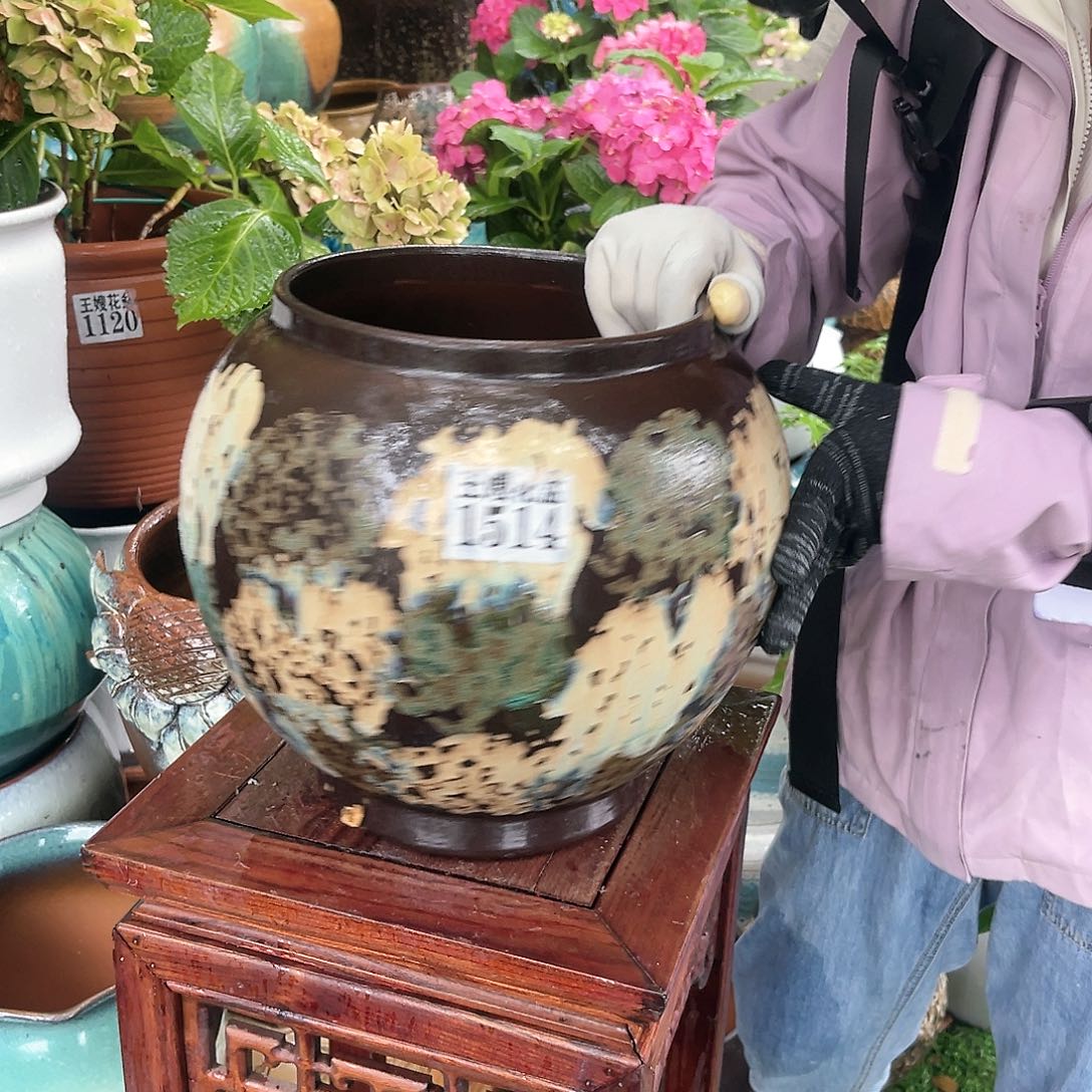 紫砂花盆王嫂花盆直播0601-1515高28口20