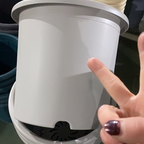 树脂四季9号灰白无托4个微瑕