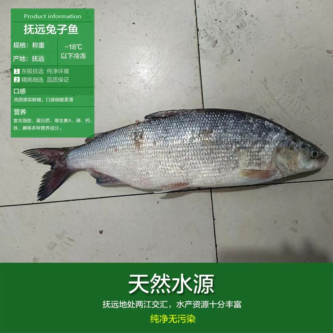 黑龙江抚远白鲑鱼兔子鱼上下浮动1两