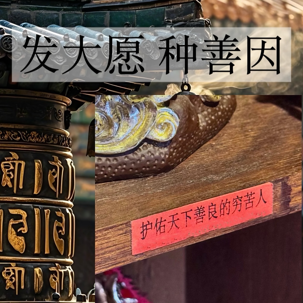 发大愿 寺院供像  护佑众生（回向视频）