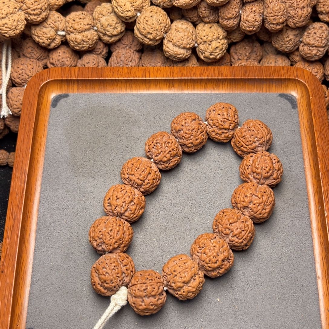 菩提9号尼泊尔大金刚23五星梅花蜂窝