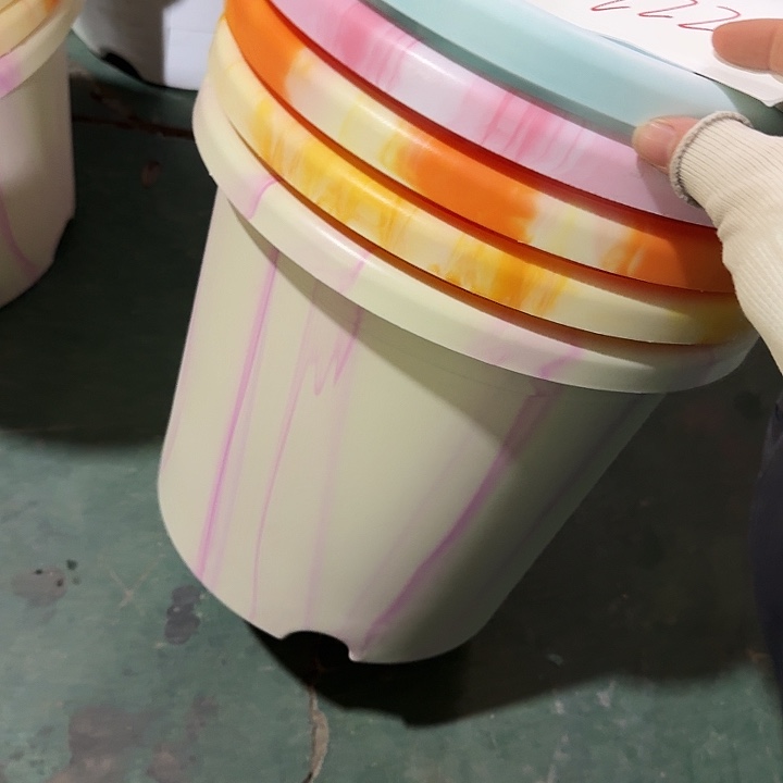 编号222串色5个无托随机