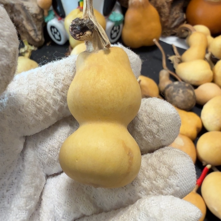 冷***天7666677777788889999999