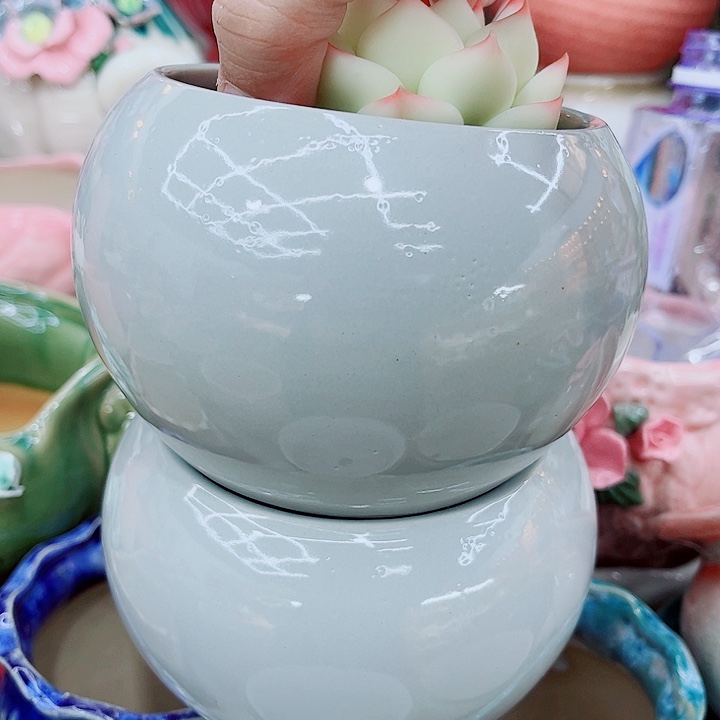 多肉植物陶瓷花盆