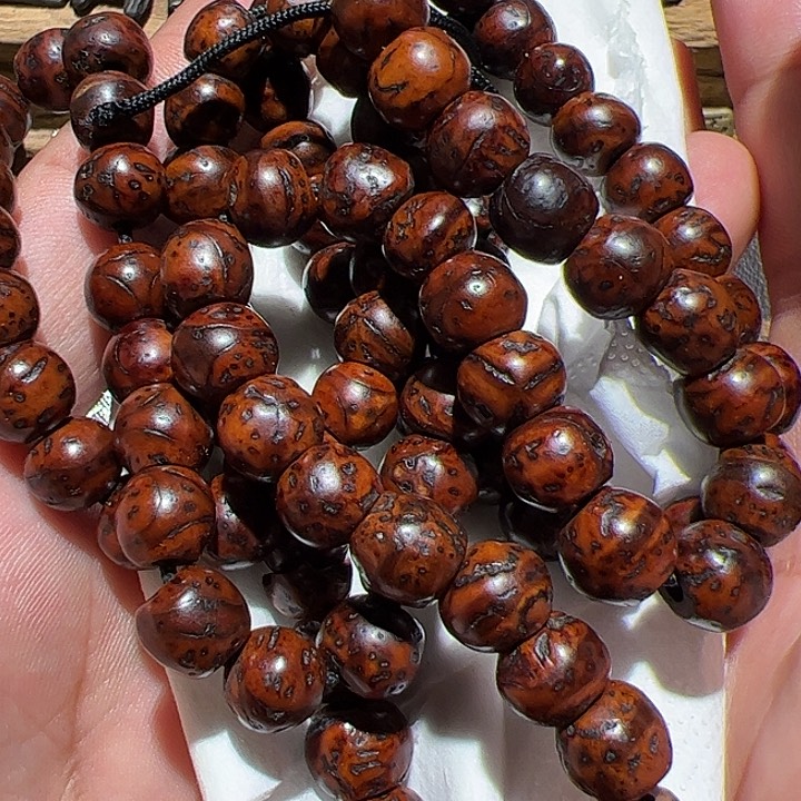 香榧木你的时候你