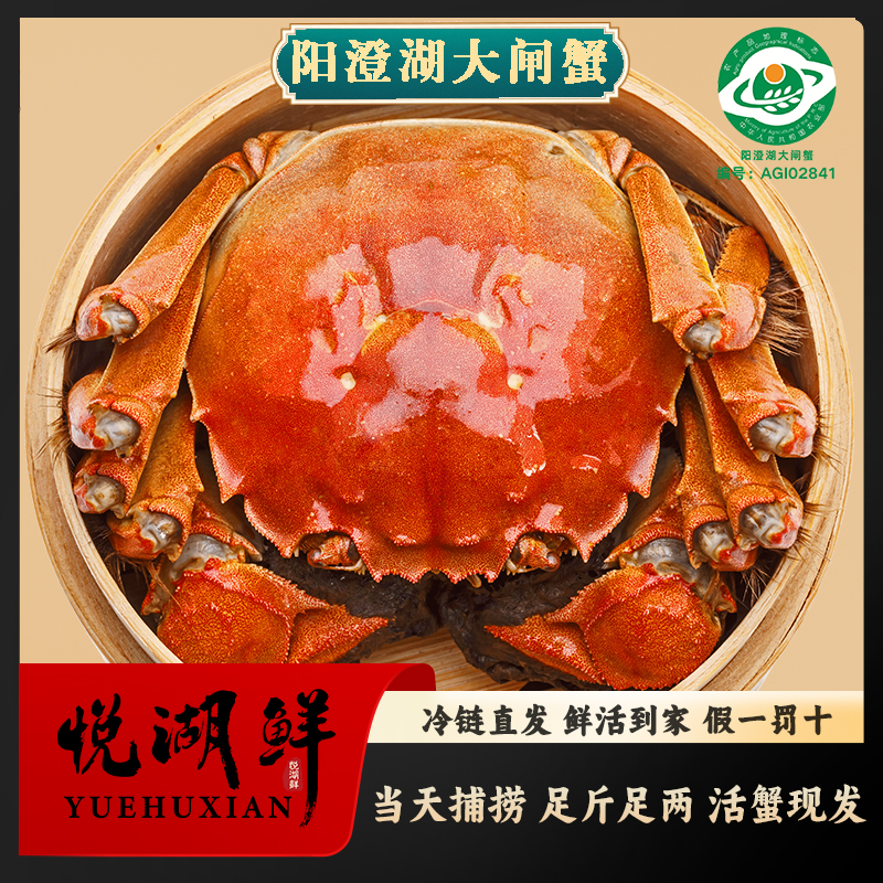 【活蟹】悦湖鲜阳澄湖大闸蟹塘养全母蟹 3.5两 8只/10只装