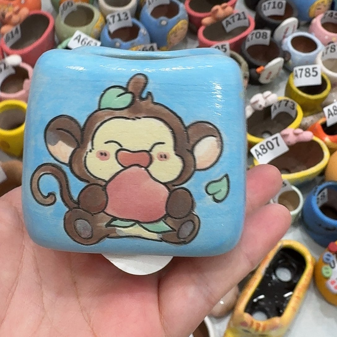 ****手工瑕疵花盆多肉