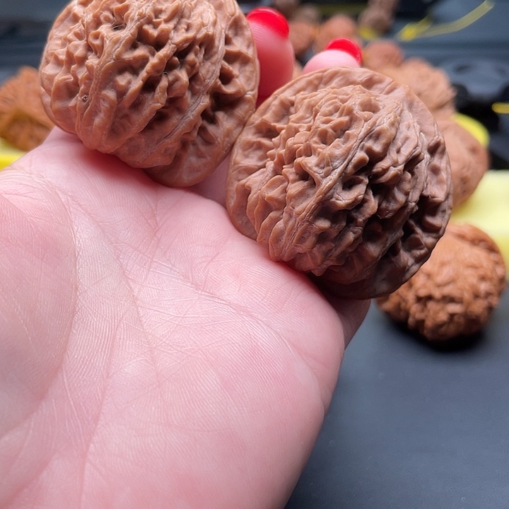 涞水山地楼44/42/41