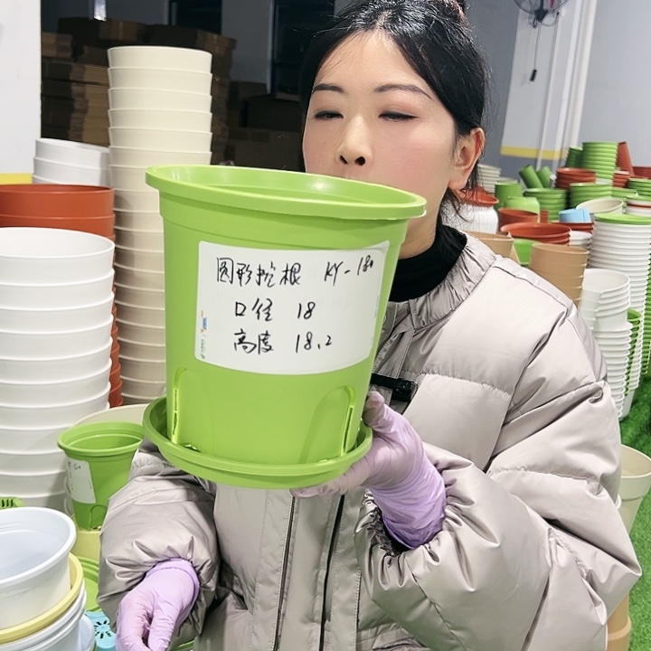 正品圆控口18高18果绿色8只有托