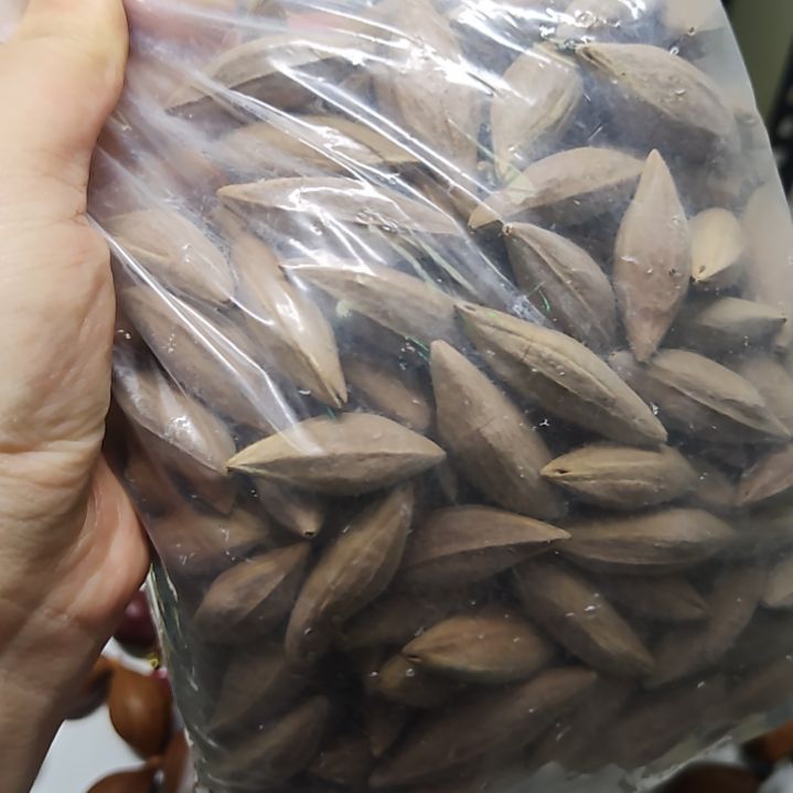 吴***乐吊坠橄榄核40桩高柳叶脖挂18颗