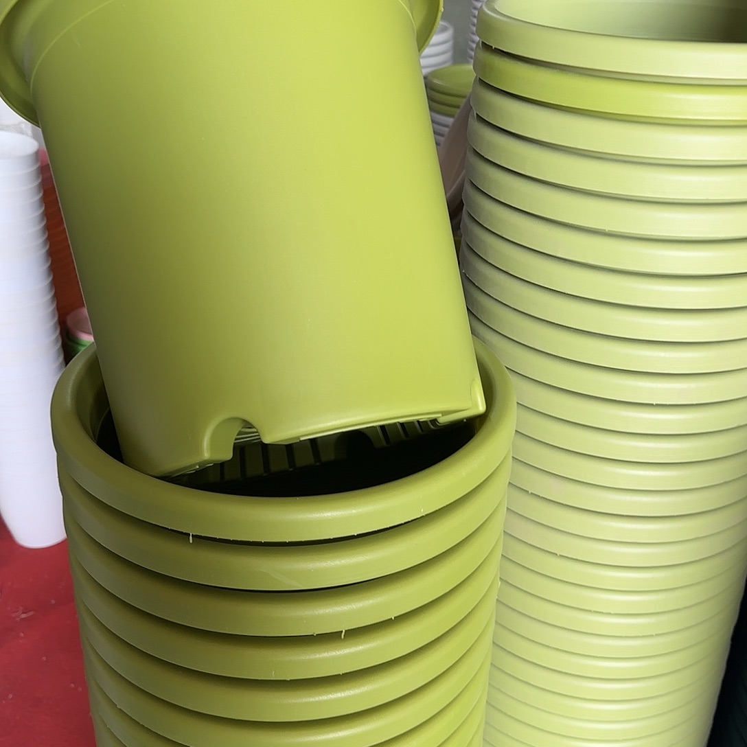 树脂四季7号无托6个果绿