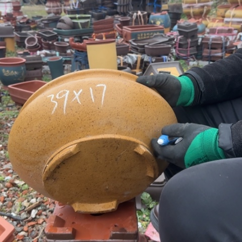 红陶紫砂花盆盆景盆栽