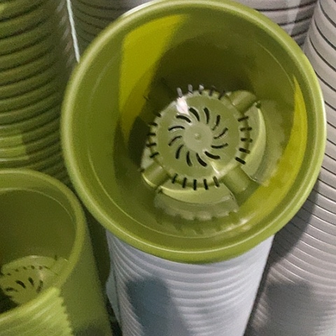 树脂四季4号微瑕果绿无托8个