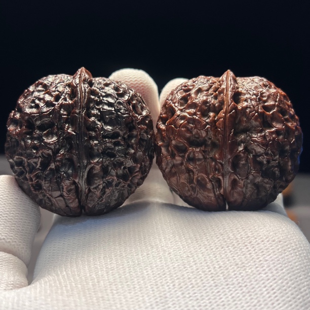 48尺寸七彩大枯石-精品云南铁核桃天然文玩手把件一物一图产地