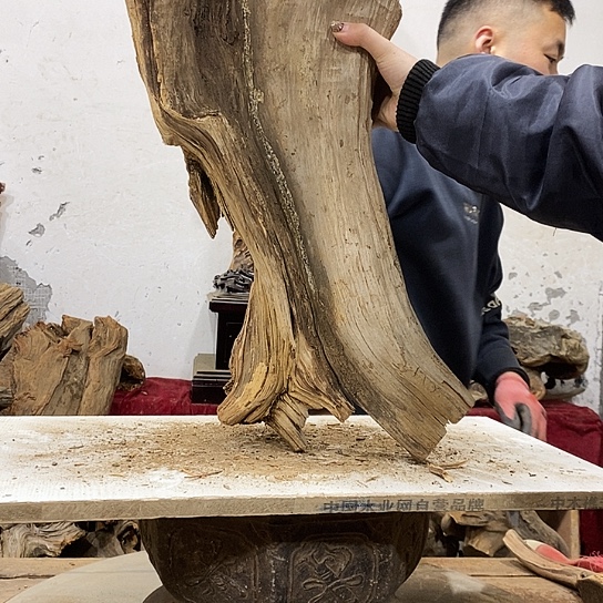 毕***爷柏木我们都是好孩子