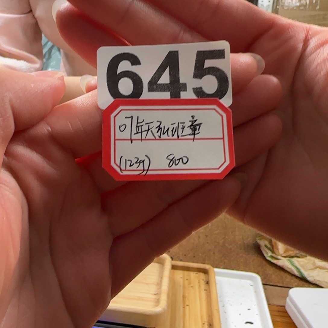 用***户紫砂紫砂645…………………………………………