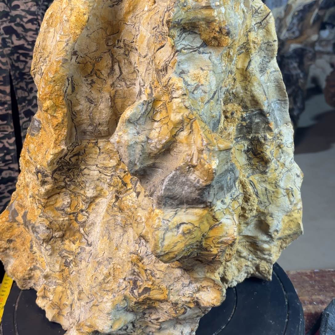 石头万**手灵璧石花盆 天然外形