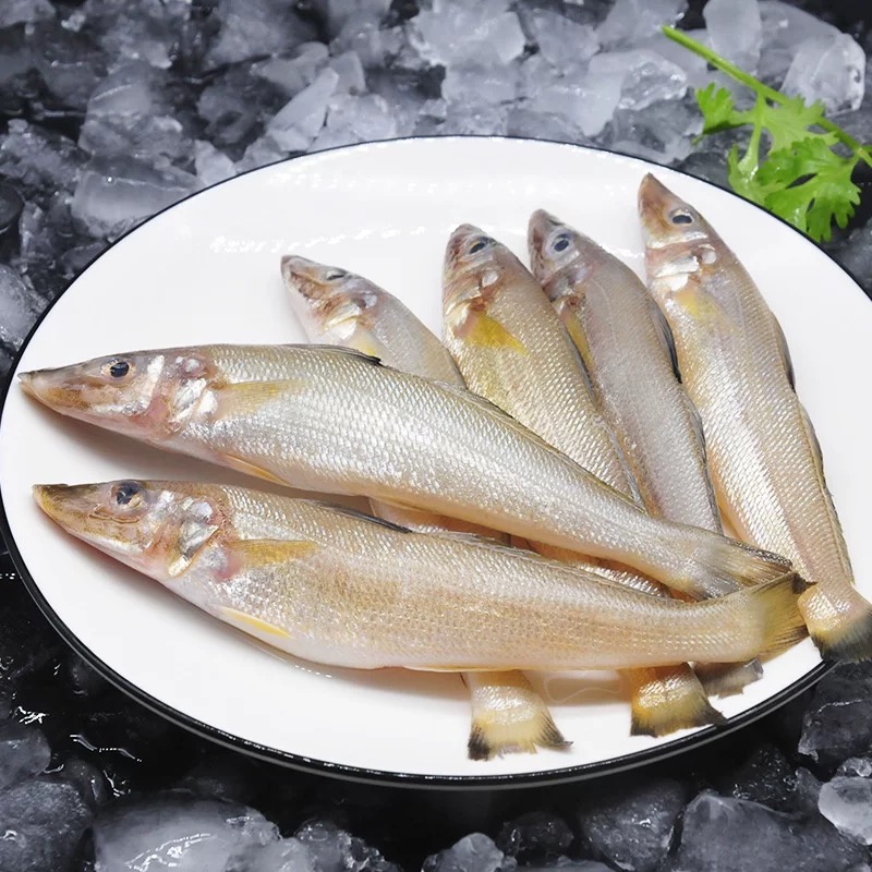沙尖鱼 沙丁鱼阳江海鲜海鲜营养鱼肉沙钻鱼（约8~10条/斤）