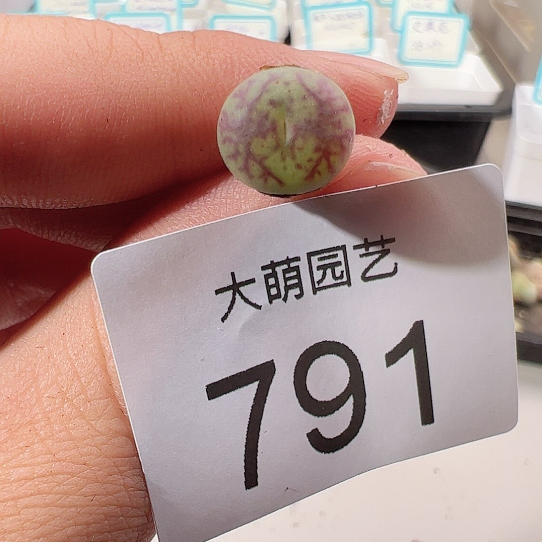 0000791 一物一拍……