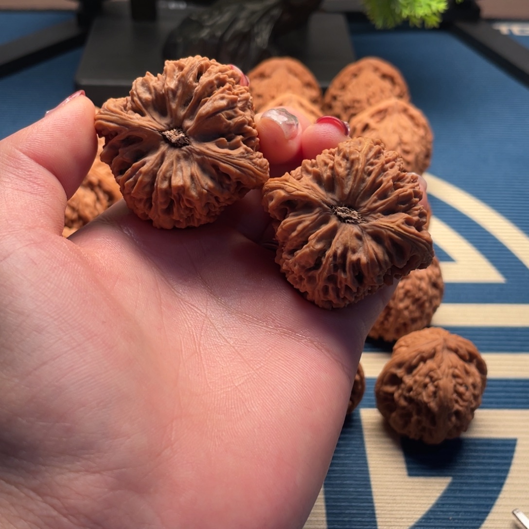 济***司核桃运费自理南疆石核桃