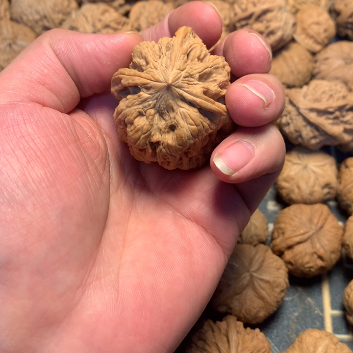 钱****文玩核桃把件核桃