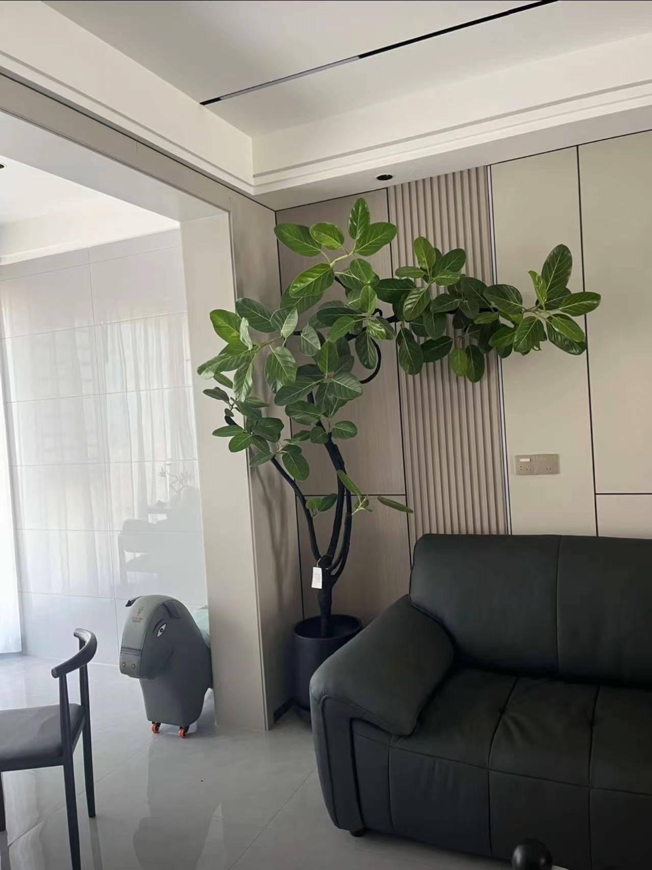 室内造景植物造型孟加拉榕高山榕好看耐养鲜活绿植大型绿植好养护