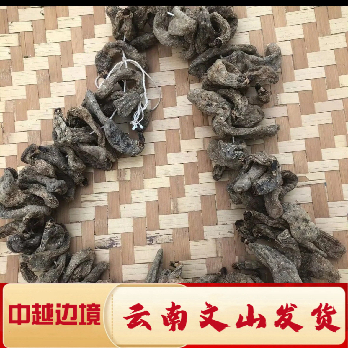 【村长严选】云南乌天麻山上野货农家自串山货