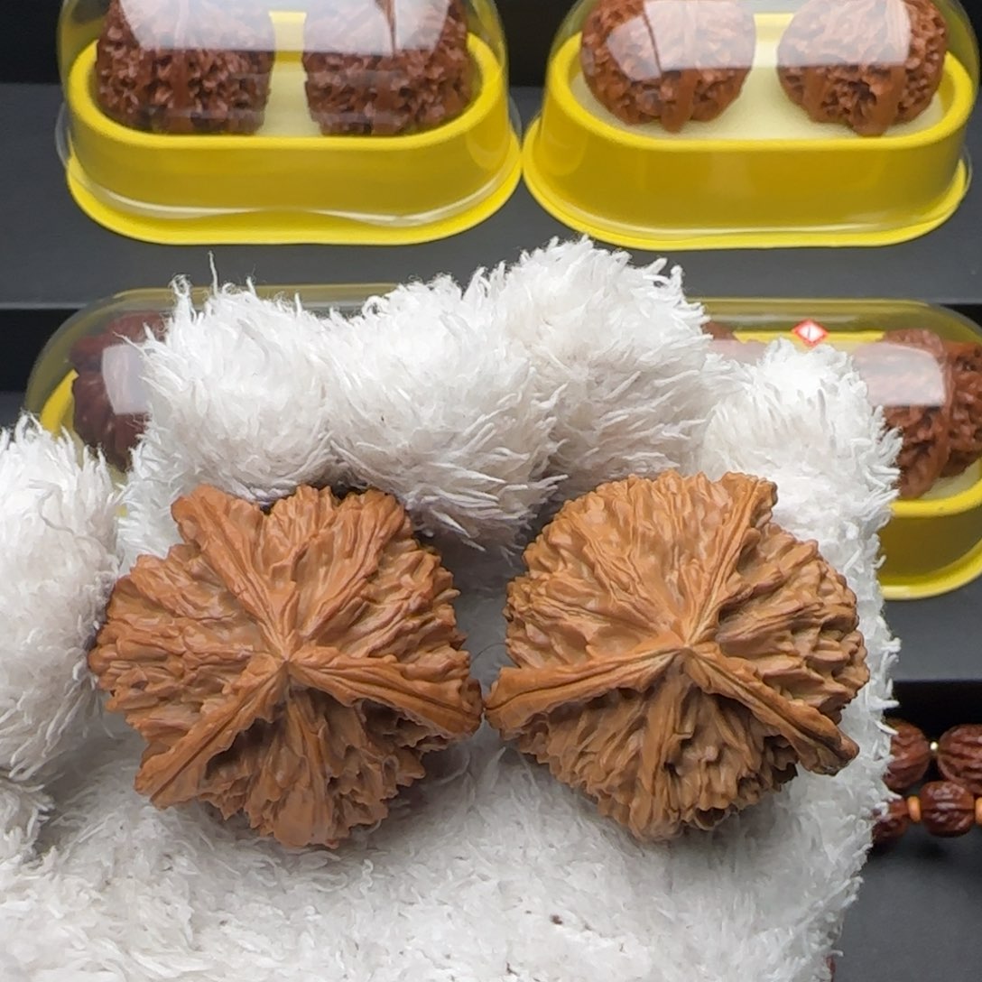 文玩核桃把件白狮子三棱41