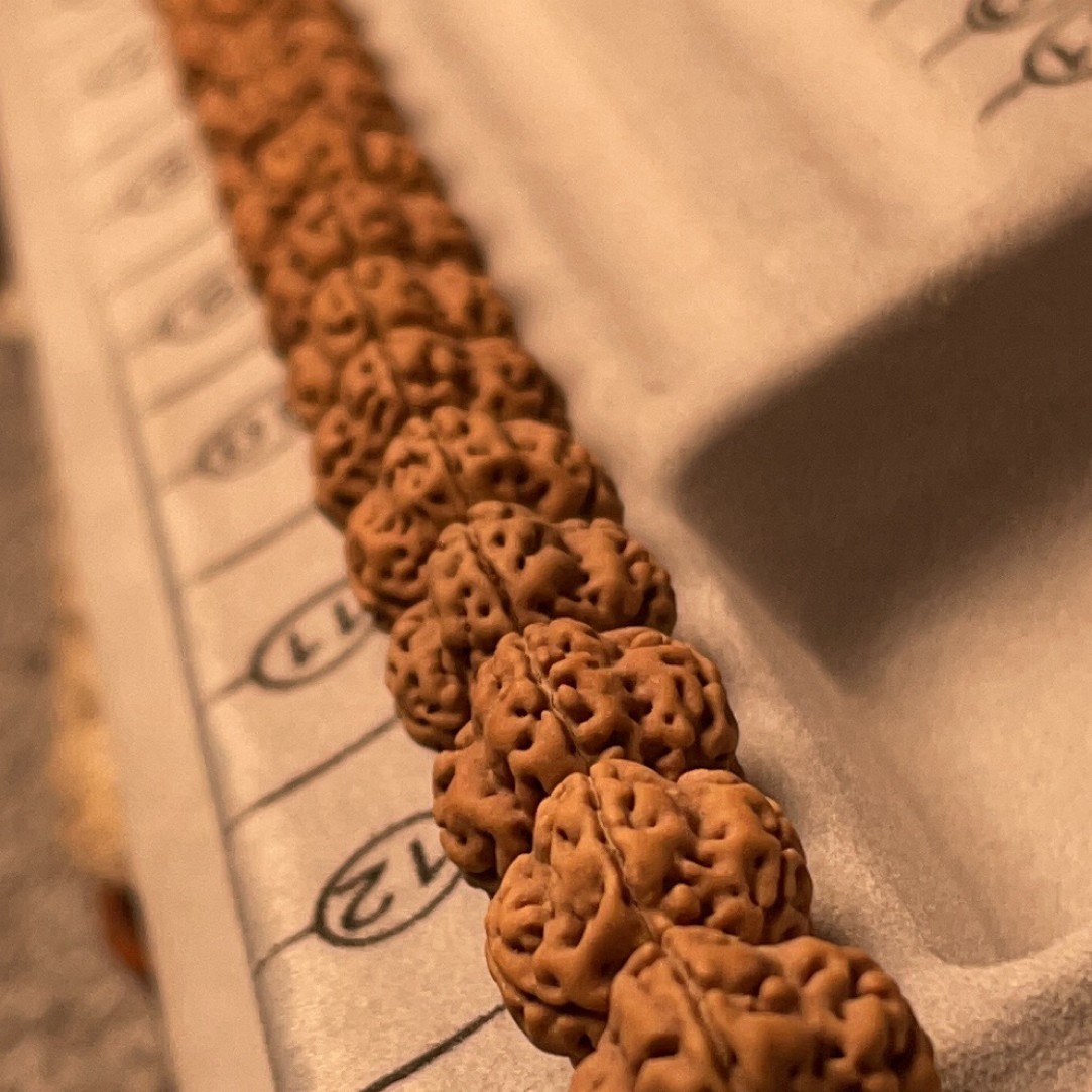 龙脊暗香一线天金刚菩提手持