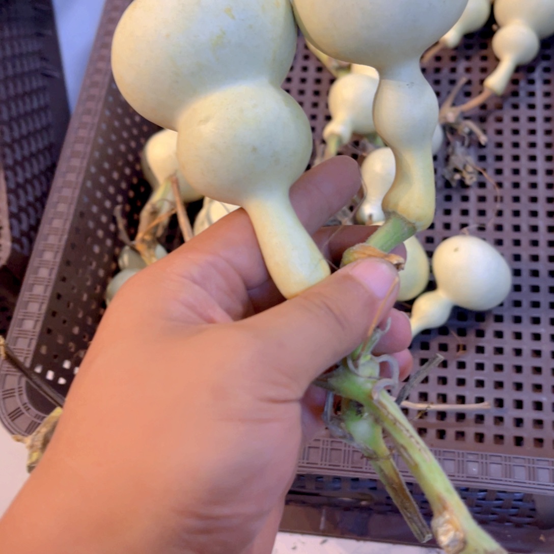 营***）感谢大哥支持兄弟