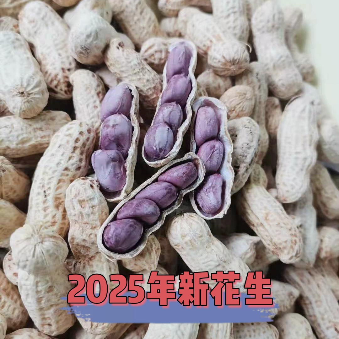 【汇峰农场】紫皮四粒鲜花生2-5斤装 现挖现发 孕妇蔬菜 京东顺丰随机包邮