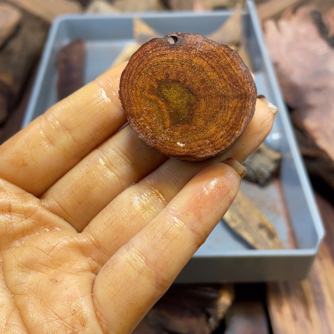 黄花梨/降香黄檀老料