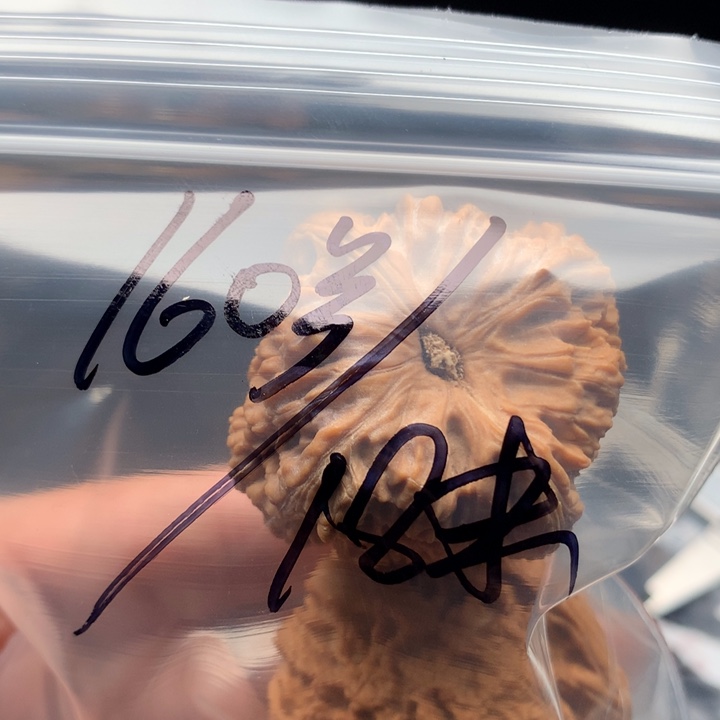 文玩核桃把件?*40南疆石