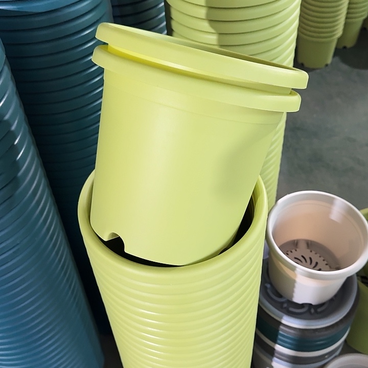 四季4#口径25果绿8个无托