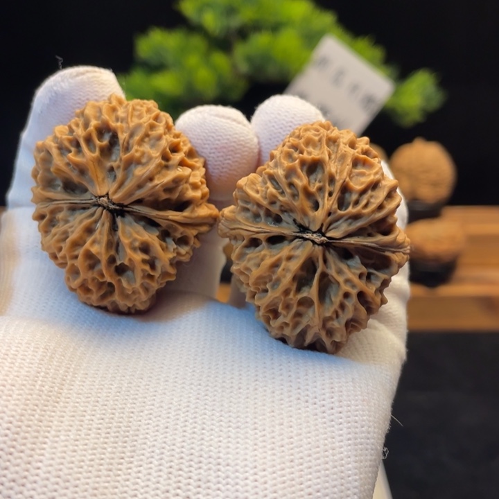 文玩核桃把件云南铁核桃25