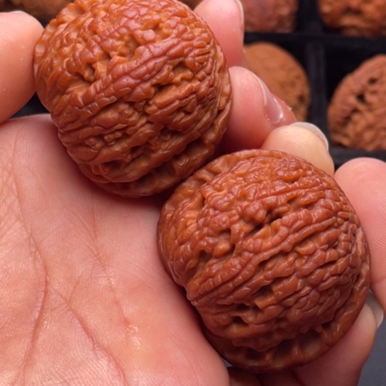 文玩核桃把件秦岭山脉核桃