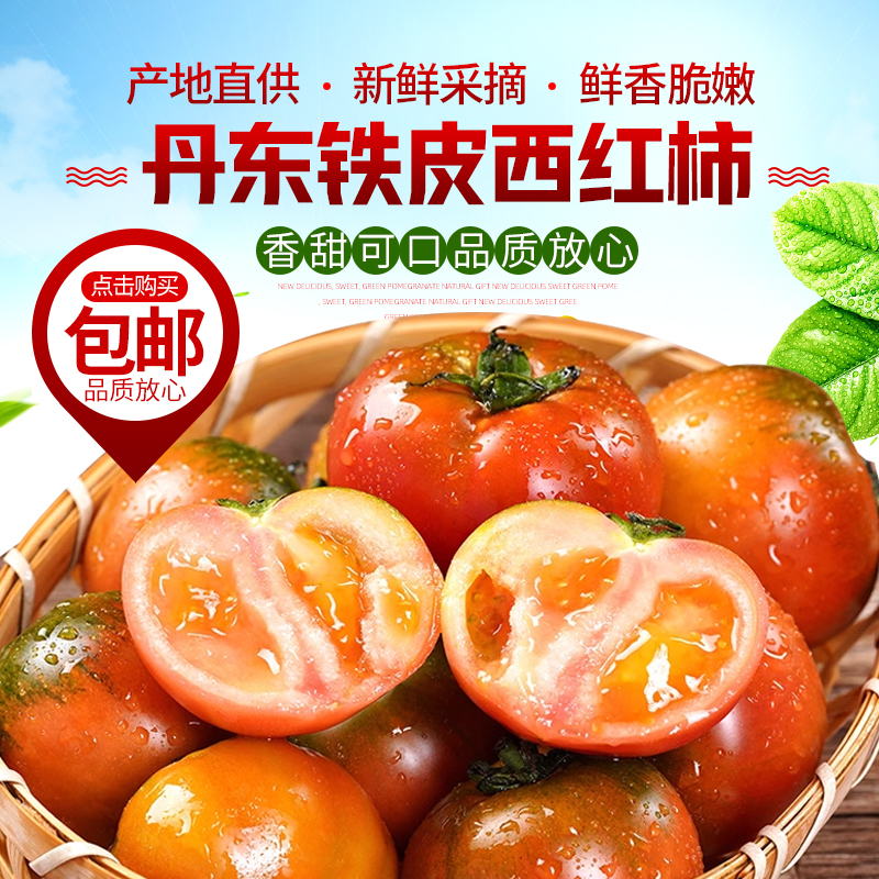 丹东铁皮柿子草莓柿子生吃大番茄西红柿新鲜产地水果直发现摘现发