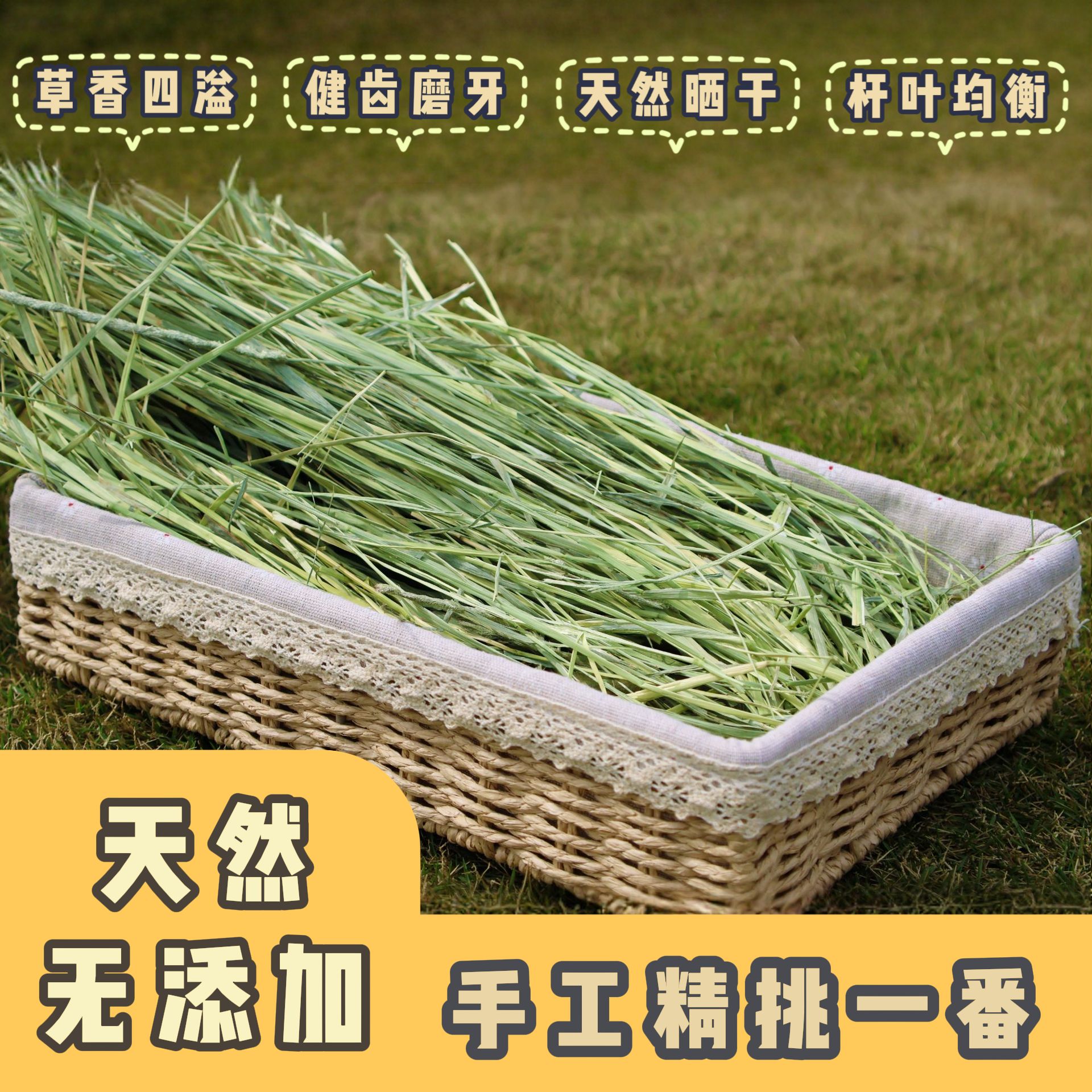 【手挑】美提一番提莫西兔子提摩西草豚鼠荷兰猪宠物晒干草500g
