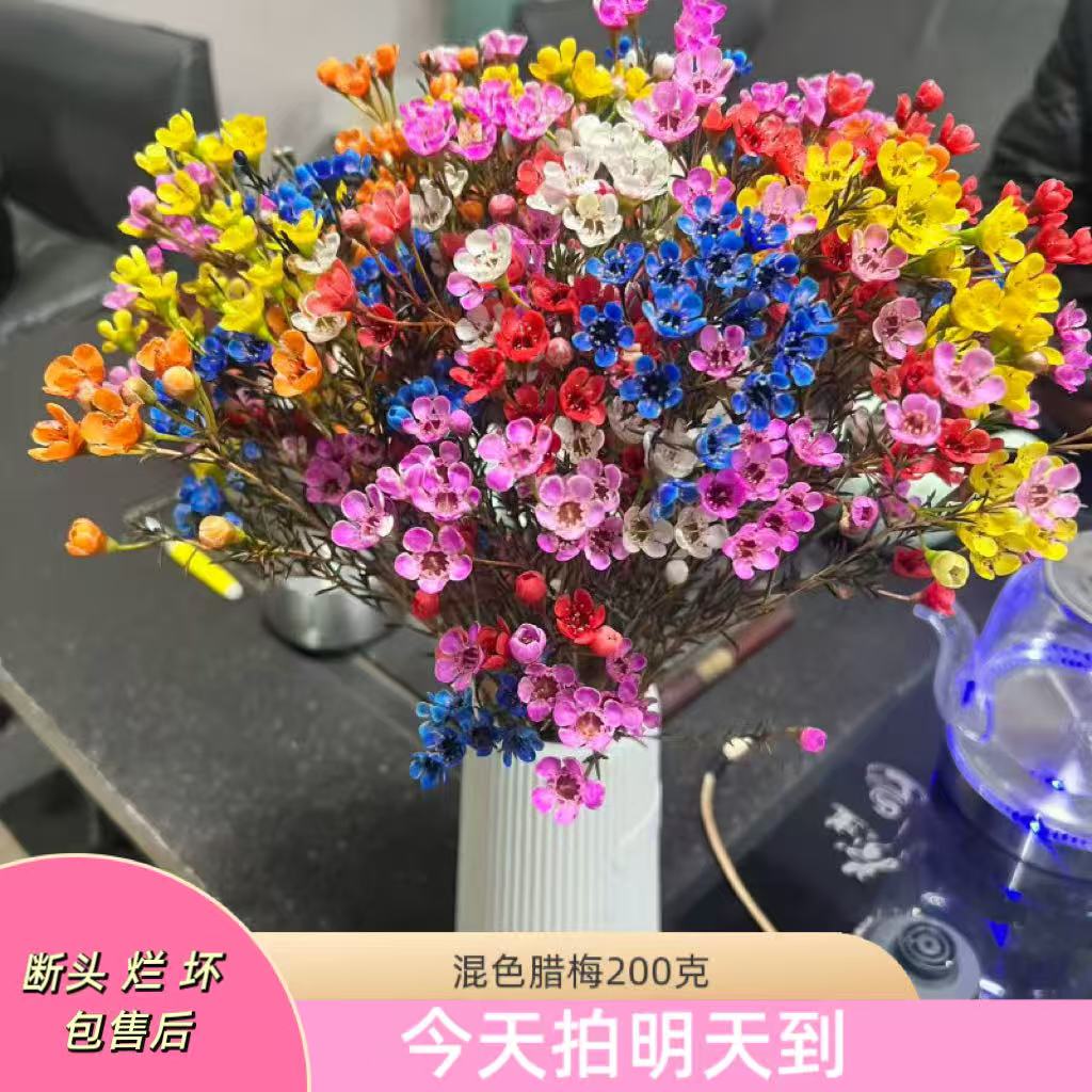 新年特价果语精选【混色腊梅200克】云南鲜花批发次日达5度以下加拍保温棉