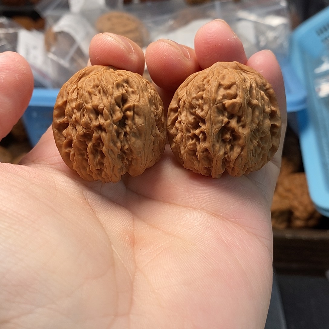 1文玩核桃龙王胆35-353