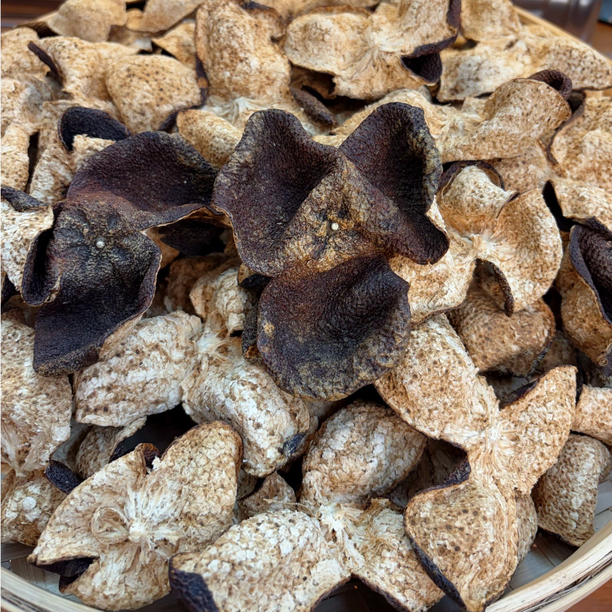 新会2019梅江冬后金丝狗腩皮兰花香桂圆甜