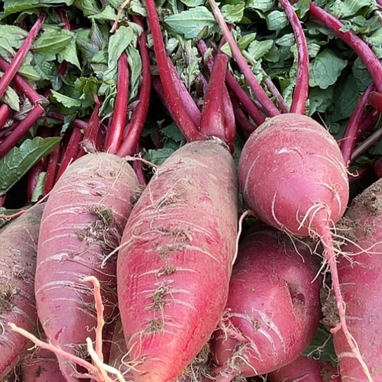 中国大陆穿心红萝卜五斤赶集